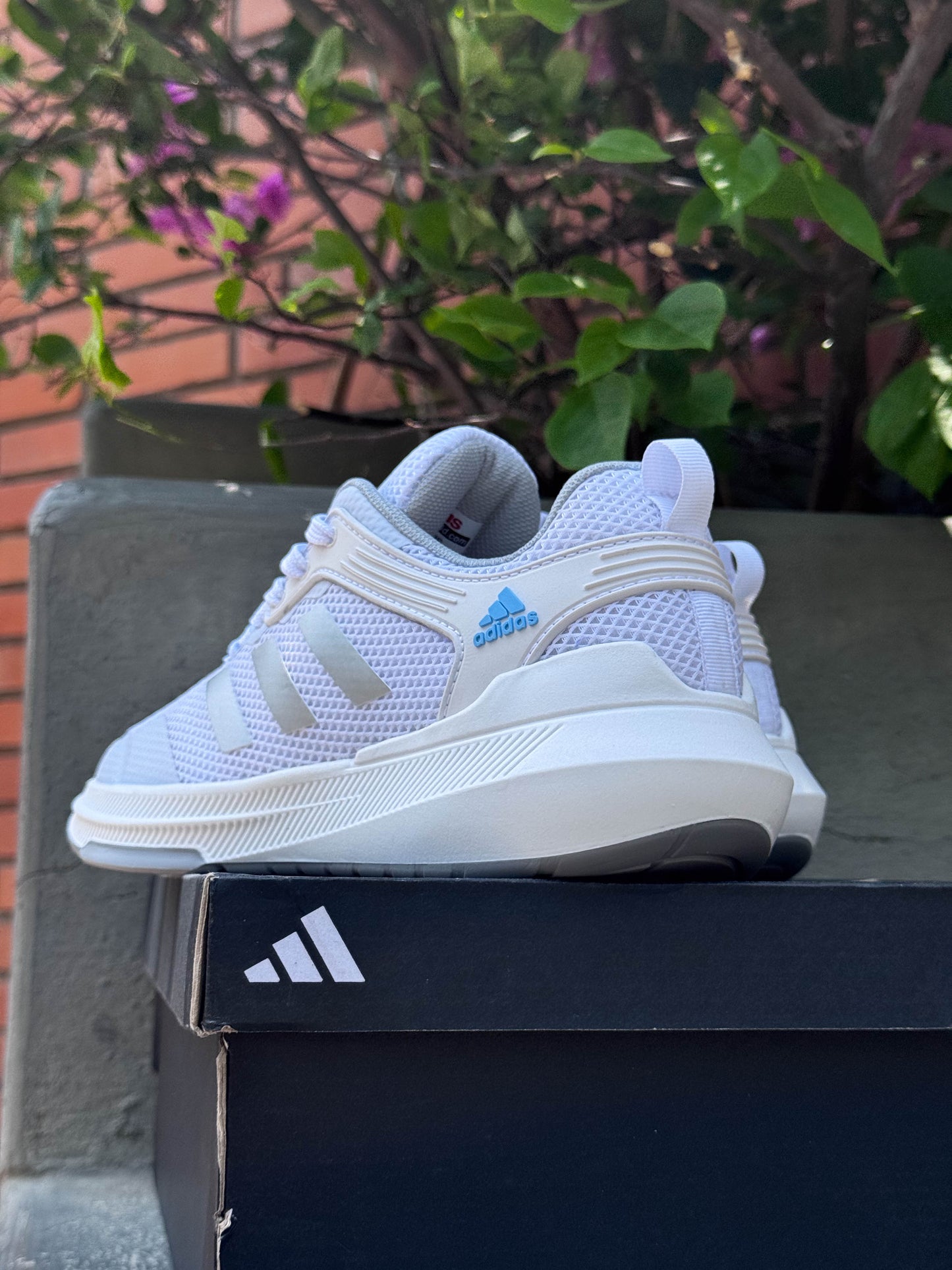A SupBoost