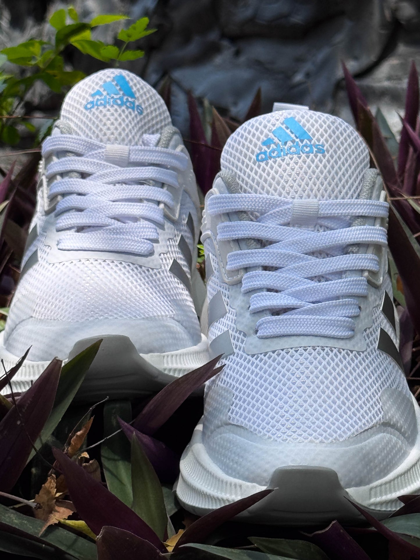 A SupBoost