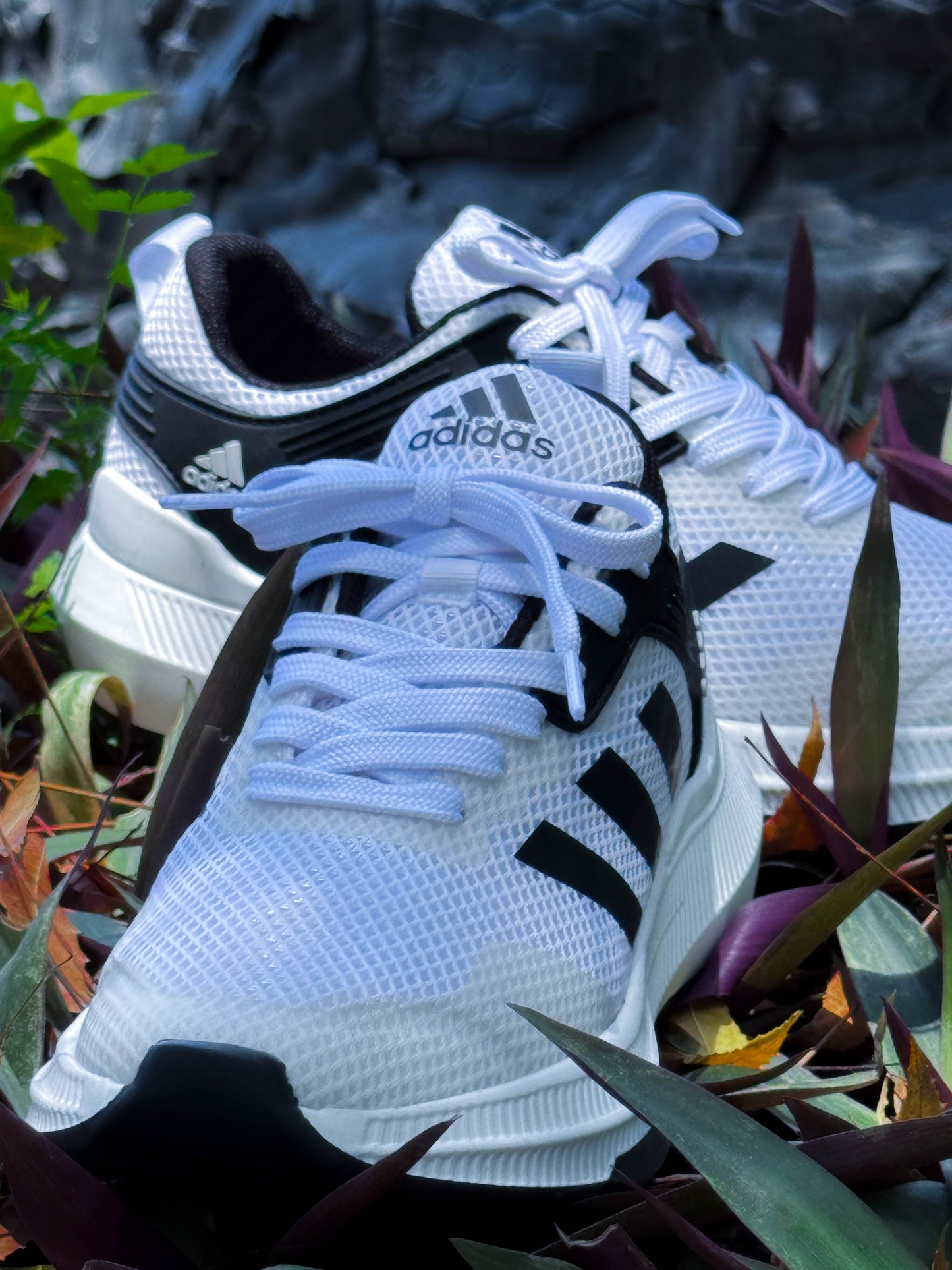 A SupBoost