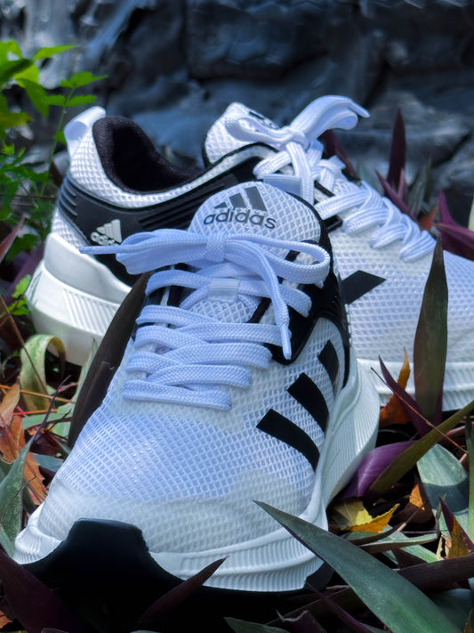 A SupBoost